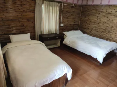 Hotel Tress House Hotels near Chitwan Jungle Safari