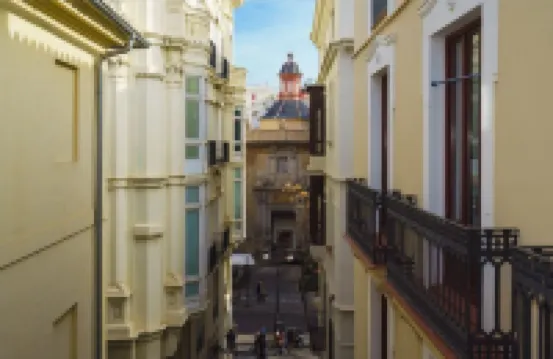 瓦倫西亞豪華 - 精品雷東達