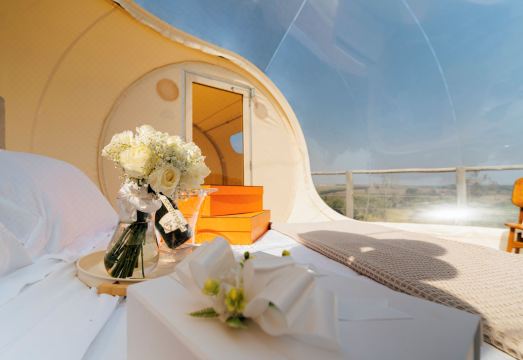 바나라 에코 버블 내부의 감성적인 인테리어