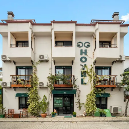 The Green Goose Hotel