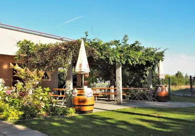Jugendherberge Romanshorn Hotel di 