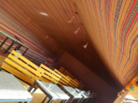 Bedouin Future Camp Hotels in Wadi Rum