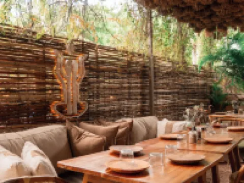 パチャマヤ ホリスティック ウェルネス & スパ - アダルトオンリー カンクンのホテル