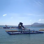Kymi Palace - شاطئ