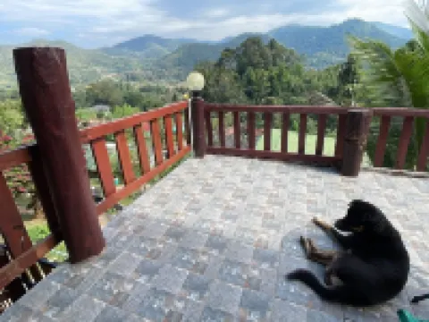 ฟอเรสต์ เกสต์เฮาส์ โรงแรมในอำเภอ สะเมิง