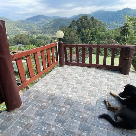 Forest Guest House