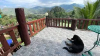 Forest Guest House Hotels in Samoeng