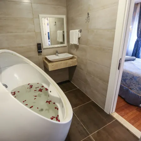Thermal Saray Hotel & Spa Yalova