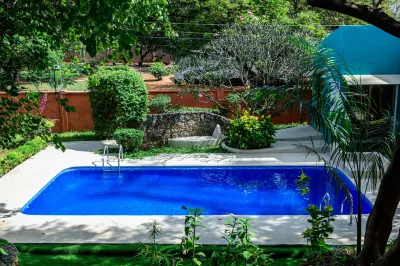 피그 트리 레지던스  호텔