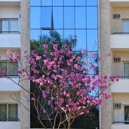 Vip Hotel