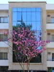 Vip Hotel Hotels in Jaú