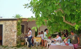 Antico Camino B&B