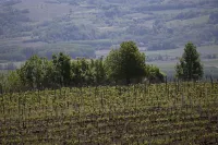 Cascina Marcantonio Hotels in Mombaruzzo