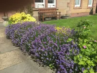 Dorstan House Hotels in Prestonfield