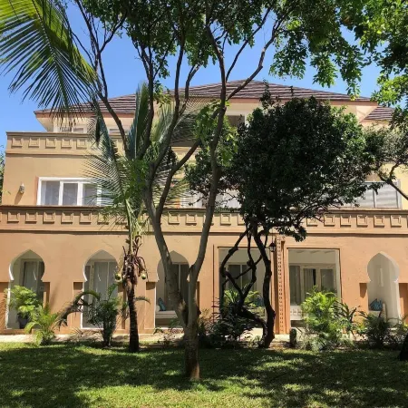 Medina Palms