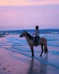 마르시카 라군 리조트 - 5성급