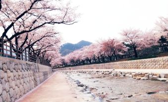 You & I Pension