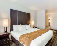 Comfort Suites Mandeville - Covington Các khách sạn gần Fontainebleau State Park