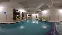 Holiday Inn DETROIT METRO AIRPORT by IHG - Pools