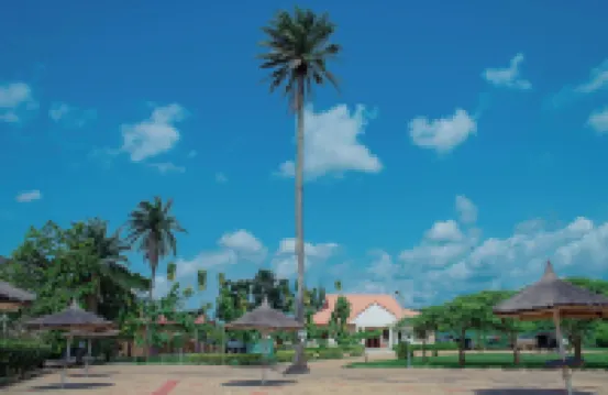 Nelson Mandela Gardens asaba