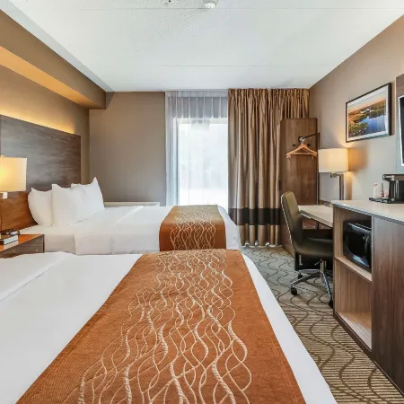 Comfort Inn Lakeshore