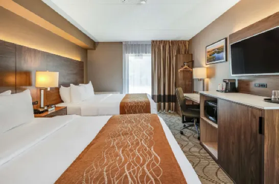 Comfort Inn Lakeshore