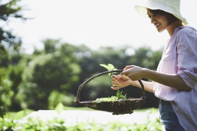 共有エリア 星野リゾート リゾナーレ那須の写真