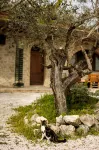 Al Regio Tratturo - Villas