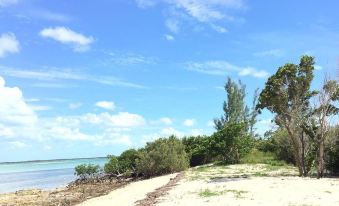 Mangrove Cay Sea View Villas