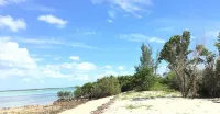 Mangrove Cay Sea View Villas - 3 stjerner