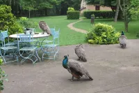 La Faisanderie Hotel a Le Subdray