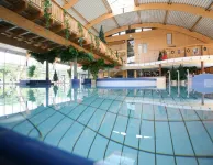 Ferienhaus in Wernigerode Mit Innenpool