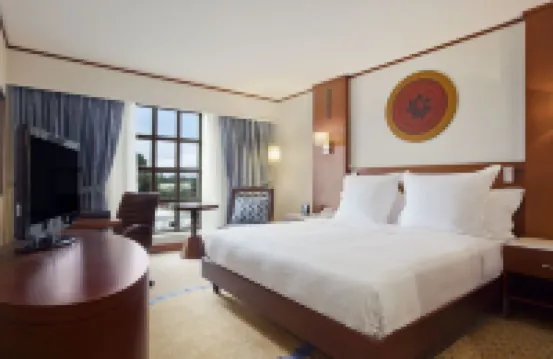 Bisila Palace Hotels in 