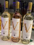維安斯奧林匹亞度假村 - 酒吧