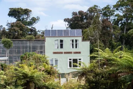 Waitutu Forest Lodge Отели в г. Wairaurahiri