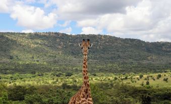 Orng'Atuny Mara King Camp