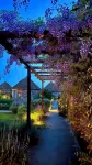 Is Cheas Wine Farm Boutique Hotel Hotels in Paulle