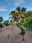 Punta Cana Ecolodge Hotels in Higuey