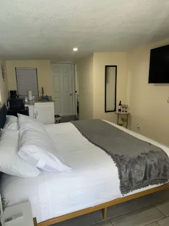 Welcome to our charming studio, perfectly located near Tampa Bay's attractions.