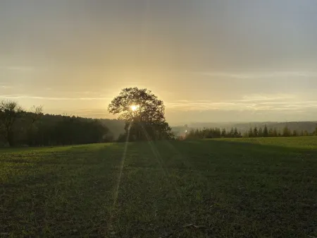 Vacation apartment with charm