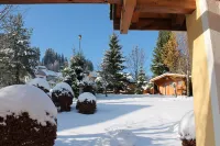 Fantastic comfortable u. cozy apartment in the heart of the Black Forest