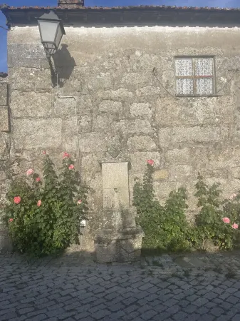 Casa da Burra- Alto Douro Vinhateiro,Casa em pedra alia a tradição ao conforto. Отели в г. Алихо