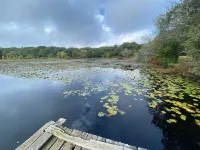 Secluded West Tisbury Retreat. Surrounded by Acres of Conservation Trails. Hotels in West Tisbury