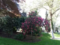 Charming and very comfortable apartment with magnificent views of Aix les Bains