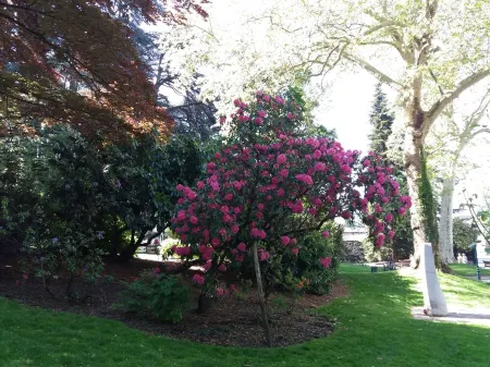 Charming and very comfortable apartment with magnificent views of Aix les Bains Отели рядом с достопримечательностью «Hotel de Ville»