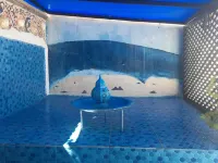 Moroccan house with two terraces, IDEAL FOR COUPLES! WIFI