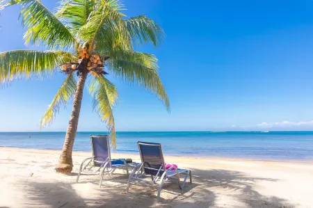 Stay at the famous Jolly Octopus Beach Bar! Beach Front with Water toys included