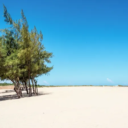Ocean Beach Resort & Spa