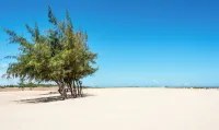 Ocean Beach Resort & Spa - Beach
