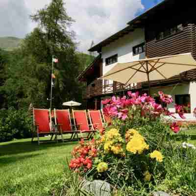 Albergo Villa Anna Maria Hotel Exterior